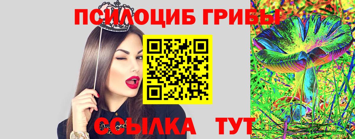 Владимир  Псилоцибиновые грибы MAGIC MUSHROOMS  Вход с VPN  Псилоцибиновые грибы MAGIC MUSHROOMS 