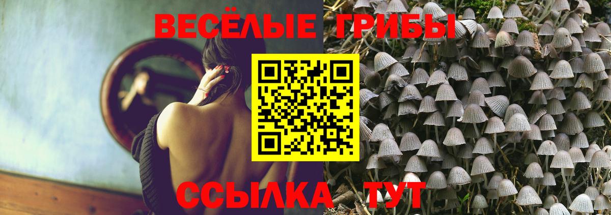 MDMA  ГАШИШ  Владимир  Меф кристаллы  Марихуана  Вход с VPN  МЕТАМФЕТАМИН 