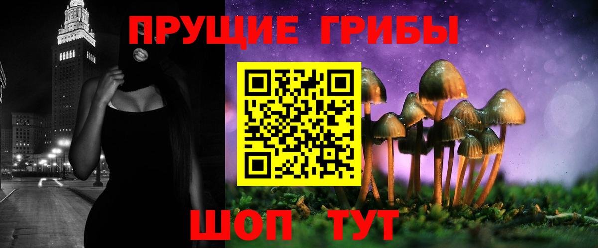 Псилоцибиновые грибы Psilocybine cubensis Владимир